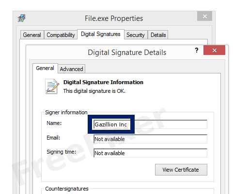 Screenshot of the Gazillion Inc certificate